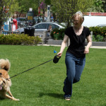 dog-on-retractable-leash-by-quinn anya (3)